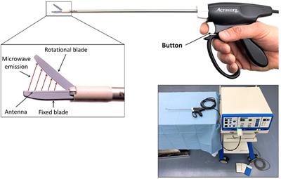 Comparison of off-clamp microwave scissors-based sutureless partial nephrectomy versus on-clamp conventional partial nephrectomy in a canine model